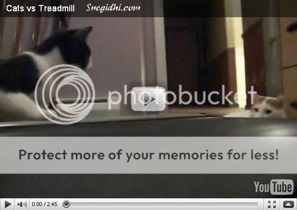 [FFA] Fun For All,  a Snegidhi Group, Snegidhi.com