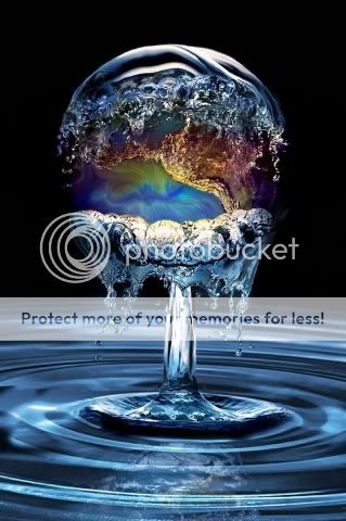 Water globe Pictures, Images and Photos