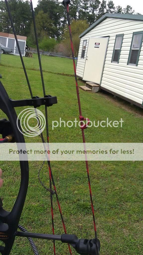 lets see your custom bow string colors! Archery Talk Forum