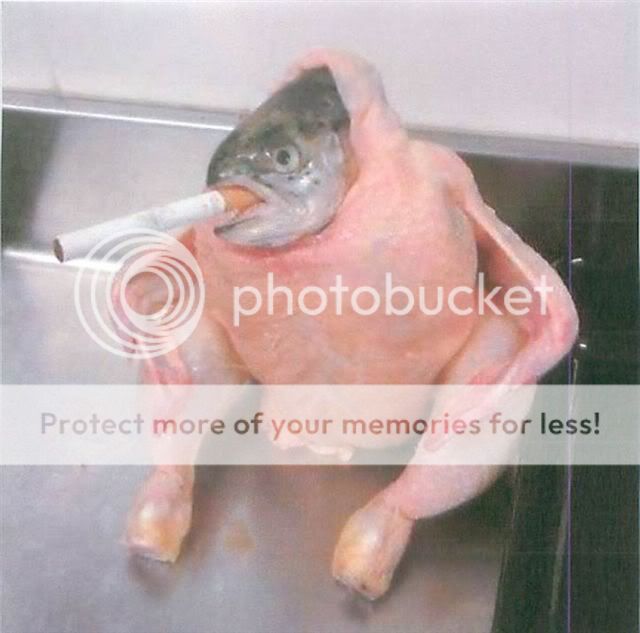 BBQ Fish & Chicken The BBQ BRETHREN FORUMS.