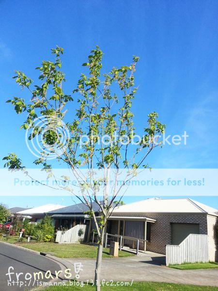  photo 2_zps08feeab9.jpg