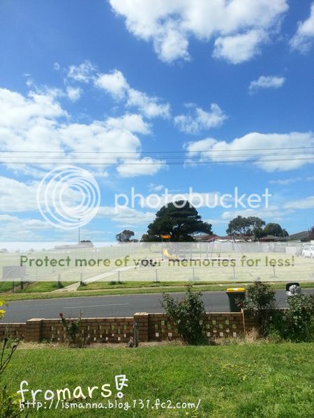  photo 4_zps81580d9d.jpg