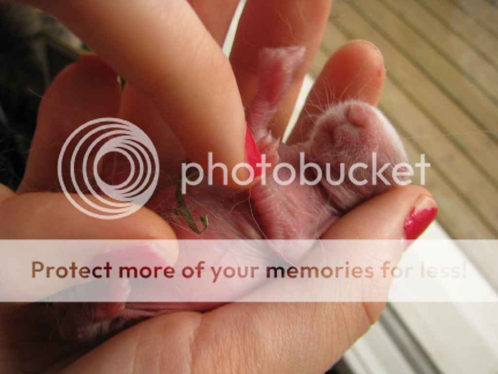 dejta 19 åring försvunnen