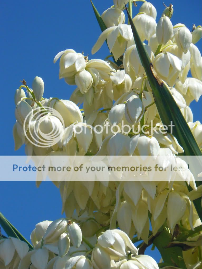 fotos fotos