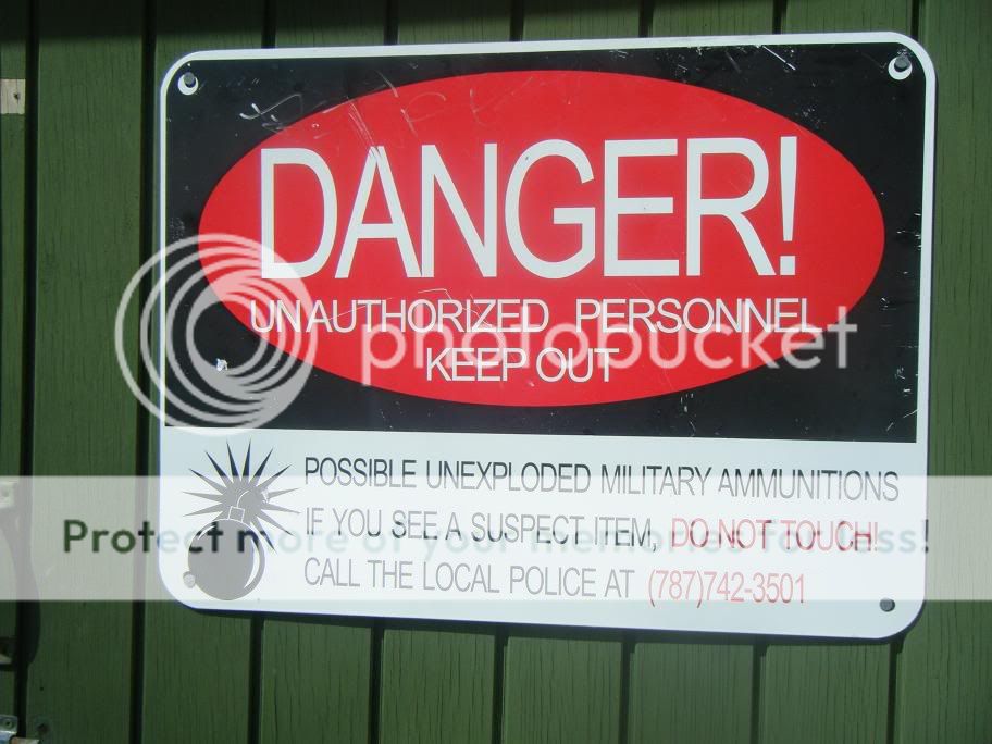 DSCF0347.jpg
