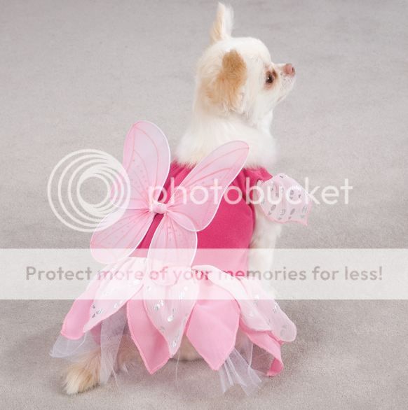 PET DOG FAIRY Costume Zack & Zoey Fairy Tails Pink Dog Halloween