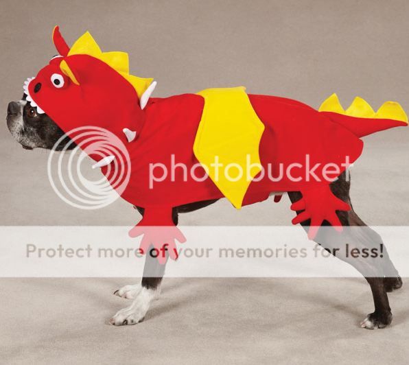 Zack & Zoey Dragon Dog Halloween Costume XSXL
