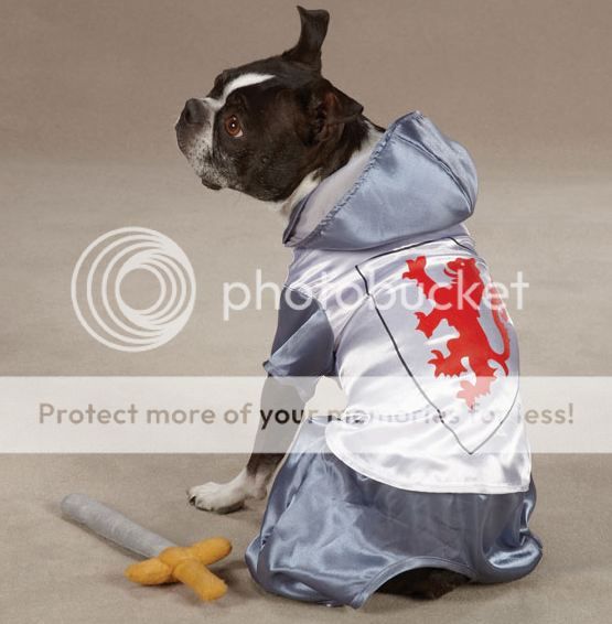 Zack & Zoey Knight Dog Halloween Costume XSXL Pet eBay