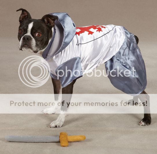 Zack & Zoey Knight Dog Halloween Costume XSXL Pet eBay