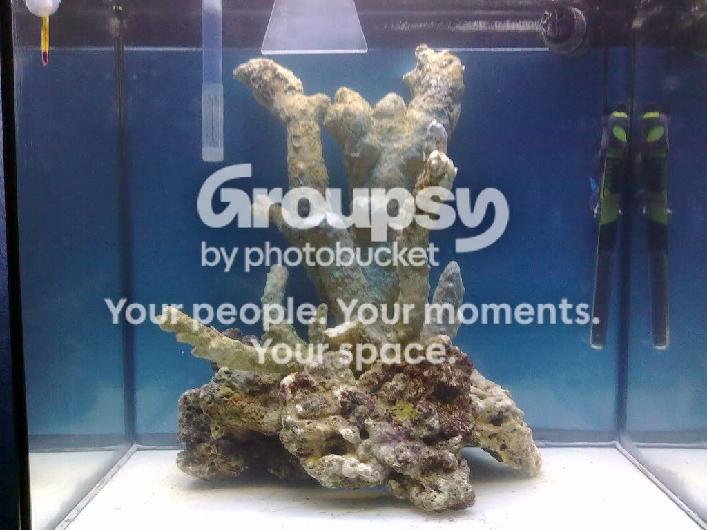 [TodoMarino.com] Proyecto Reef Three