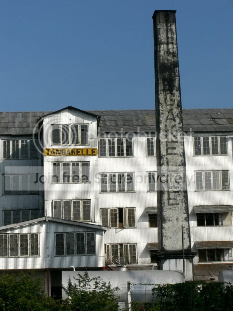 CIMG2319.jpg