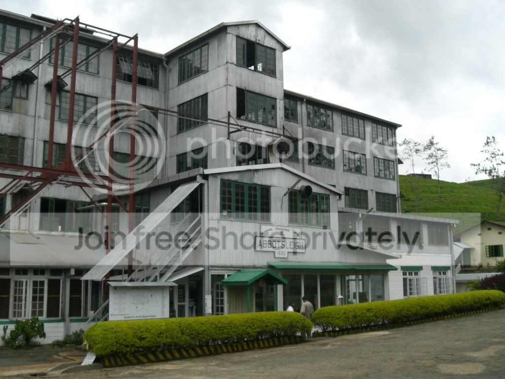 CIMG2881.jpg