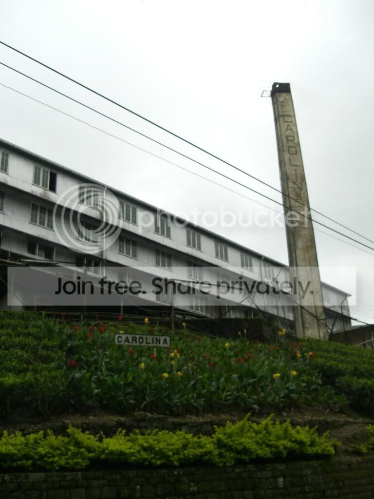 Cimg2965.jpg
