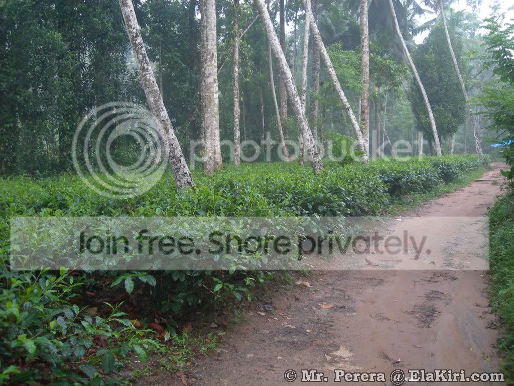 DSCN7065.jpg