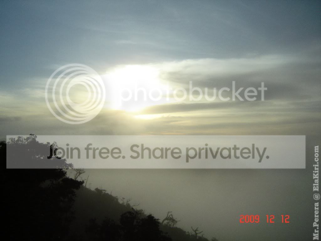 Picture149.jpg