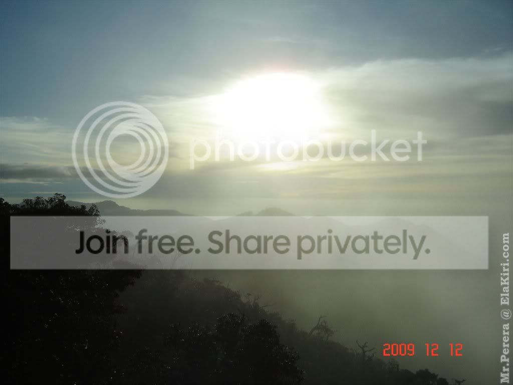 Picture160.jpg