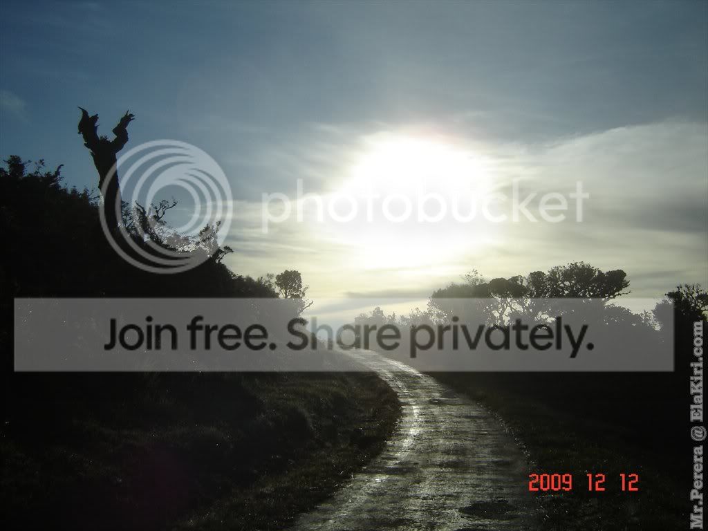 Picture175.jpg