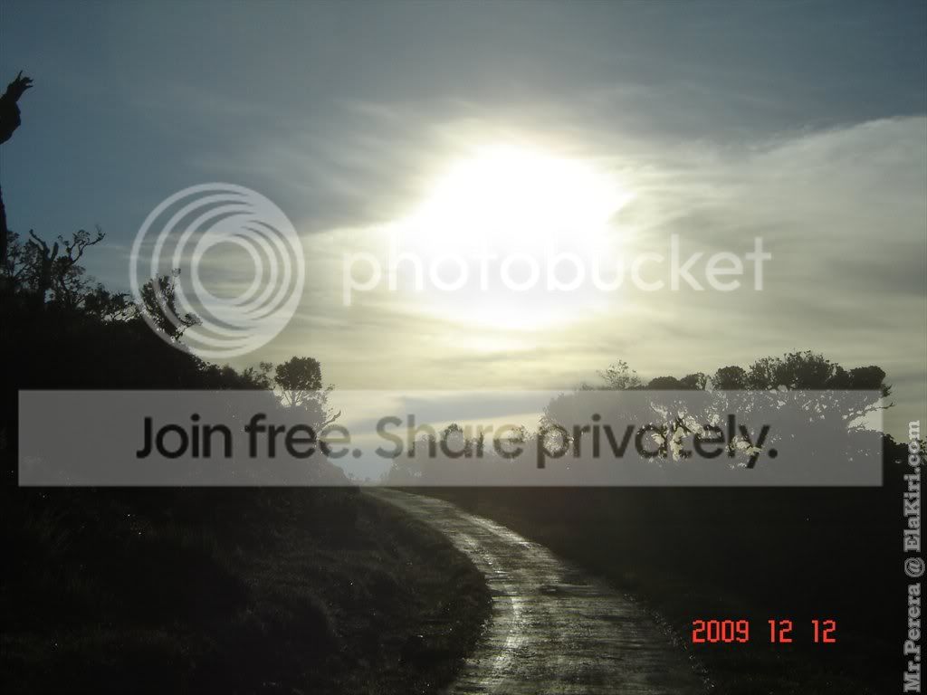 Picture176.jpg