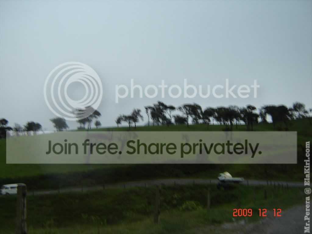 Picture383.jpg
