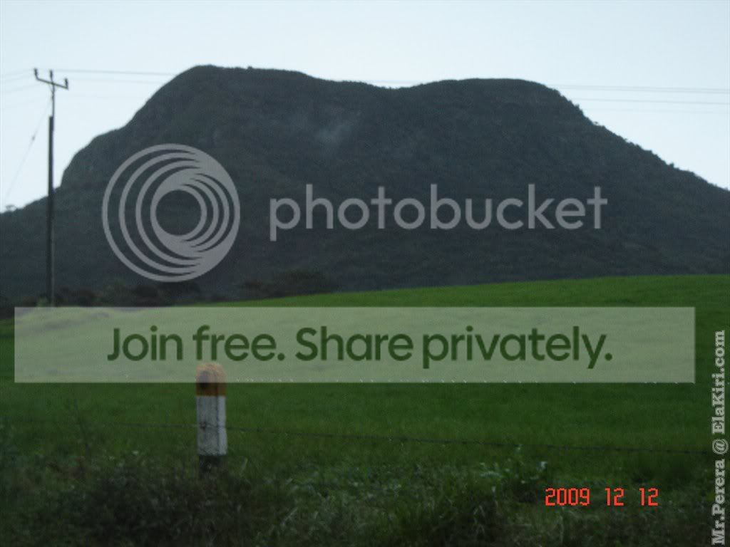 Picture384.jpg